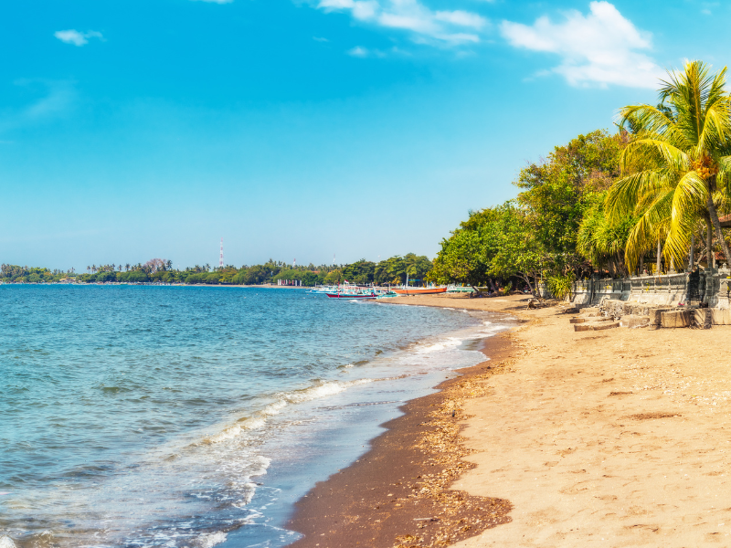 BALI DISCOVERY (SIC) — 8